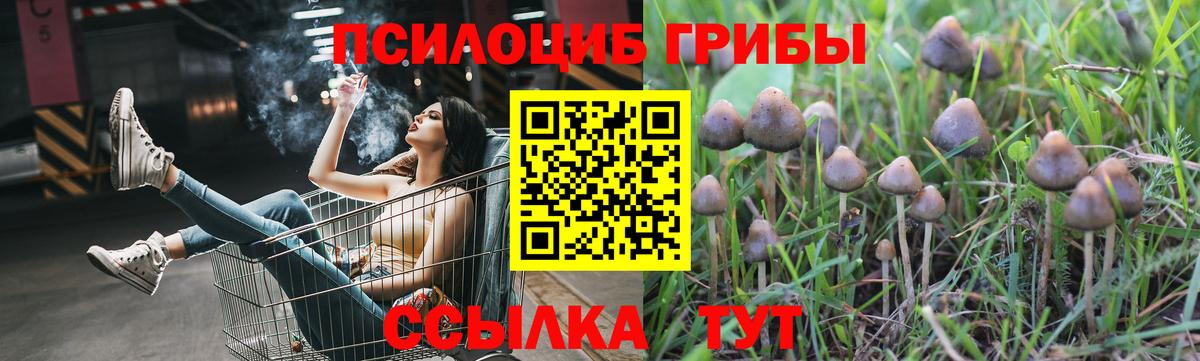 Галлюциногенные грибы MAGIC MUSHROOMS  Вход с VPN  Тара  Псилоцибиновые грибы MAGIC MUSHROOMS 