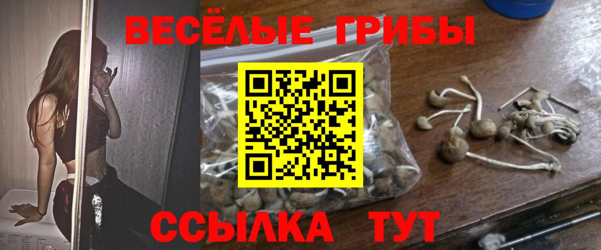Псилоцибиновые грибы MAGIC MUSHROOMS Тара